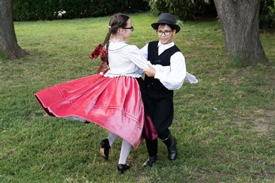 dsc 5456