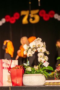 ai 75 zsuza 312 resize
