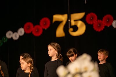 ai 75 zsuza 315 resize