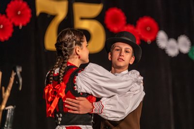 ai 75 zsuza 317 resize