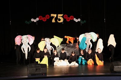 img 4141 resize