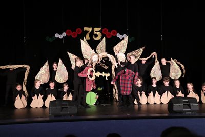 img 4148 resize