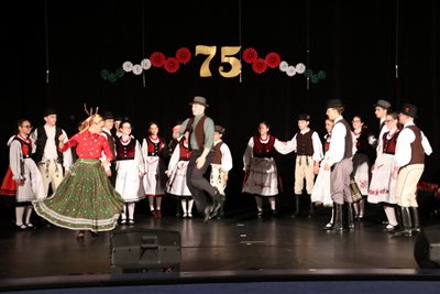 img 4170 resize