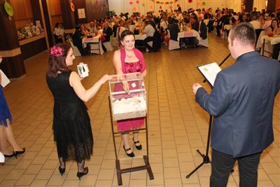 img 0873 resize