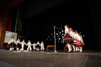IMG 1549 resize