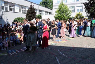 img 2895 resize