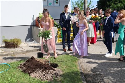 img 2910 resize