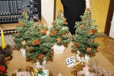 MG 2324 resize