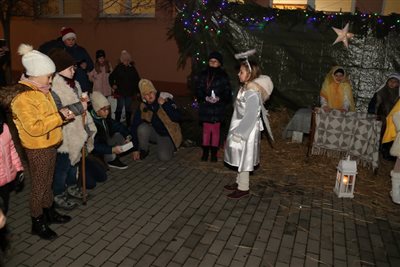 img 4394 resize
