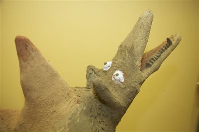 weltbodentag2012 154