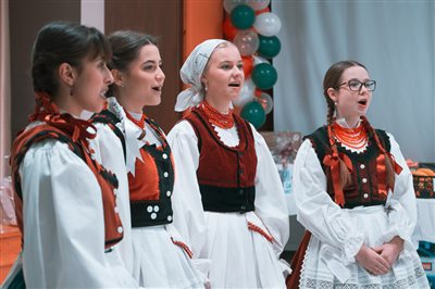 szuloibal 2025 ozs 235