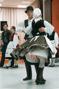 szuloibal 2025 ozs 246