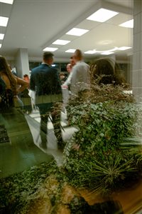 szuloibal 2025 ozs 295