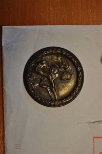 dsc 0031