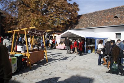 mg 9822 resize