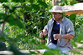 Kellemes délután - Grill Party 2