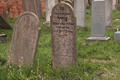 A szenci zsidó temető