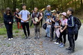 Máriavölgyi gyalogos zarándoklat